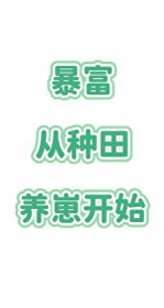 暴富，从种田养崽开始