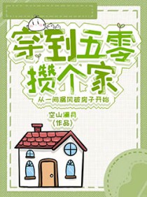 穿到五零攒个家